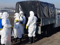 100 человек, прибывших из Сеула, поместили на карантин в Алматы